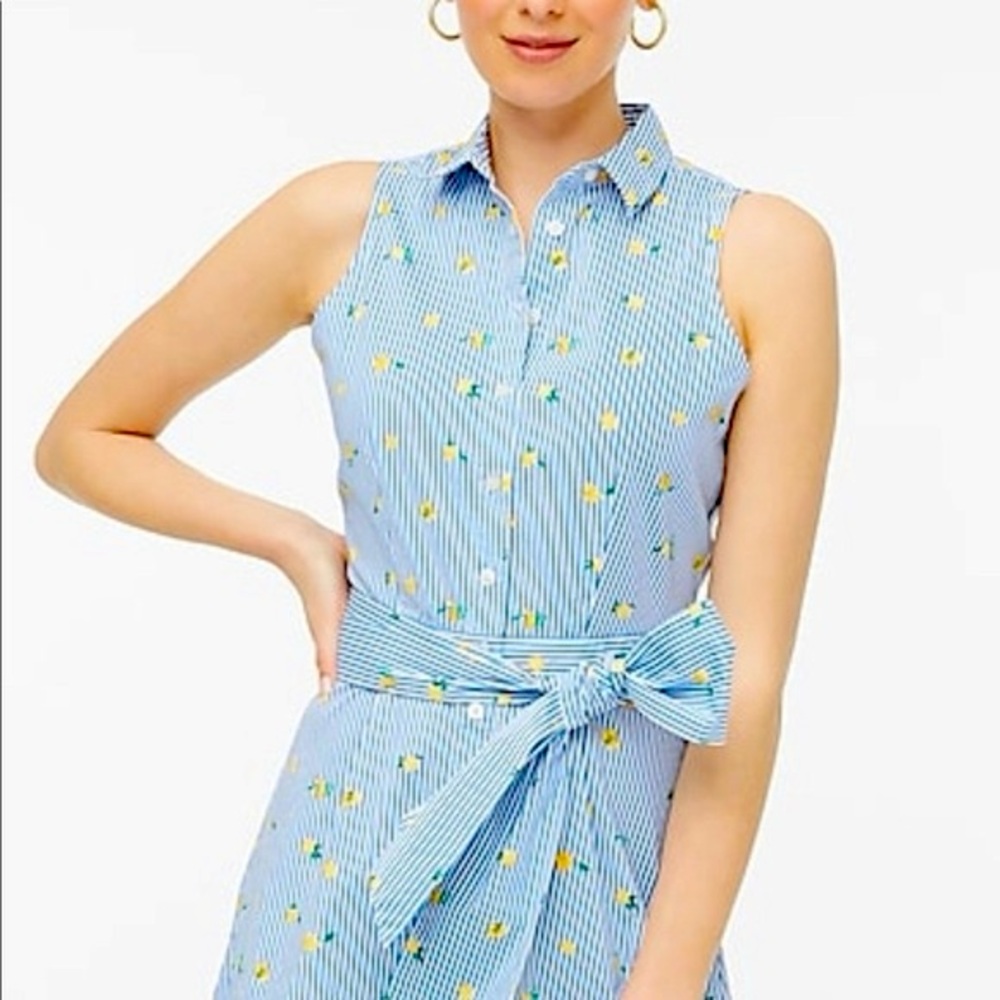 J.Crew Factory  Blue striped Dress with Yellow Lemons - Picture 2 of 8